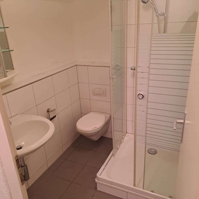 white tiled walls, glass shower enclosure, toilet, white sink, mirror
