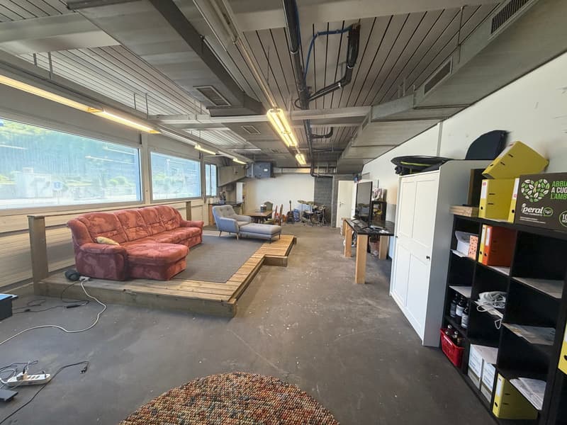 large room with couch, chair, table, shelves, windows, ceiling lights