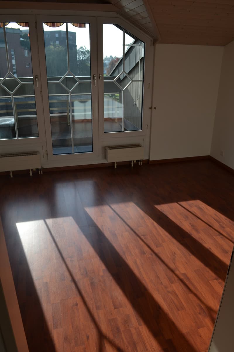 2-Zimmer-Dachwohnung mit Seesicht in Stansstad zu vermieten (5)