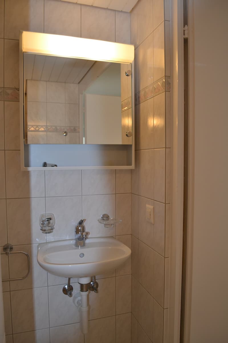 Helle 5-Zimmer-Wohnung mit Balkon und Seenähe im steuergünstigen Hergiswil (12)