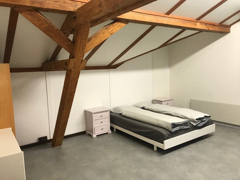 Grosses teilmöbliertes Zimmer im Zentrum von Altdorf zu vermieten (2)