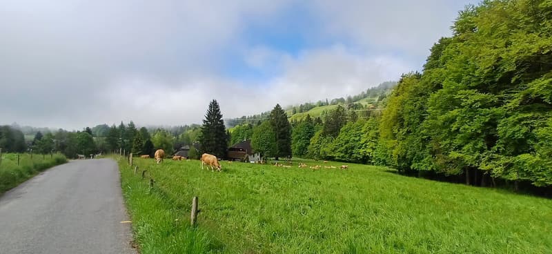 Ancienne colonie de vacances avec vue panoramique à Villard-sur-Chamby (15)