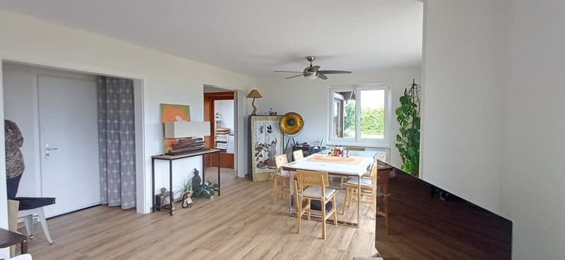 Choëx, chalet 2 appartements à vendre (12)