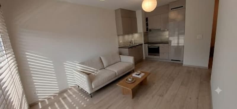 Charmant appartement de 2,5 pièces à Vevey, disponible immédiatement (7)