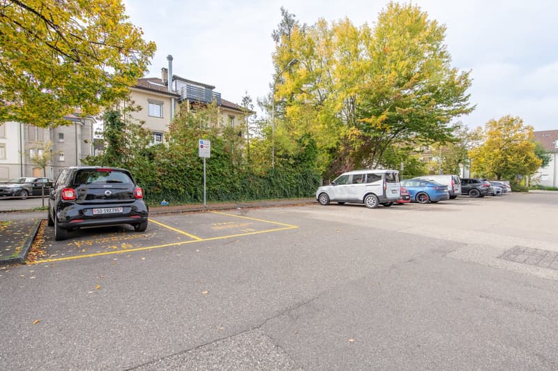 Empty parking lot with yellow parking lines, buildings in the background, trees, and leaves on the ground.