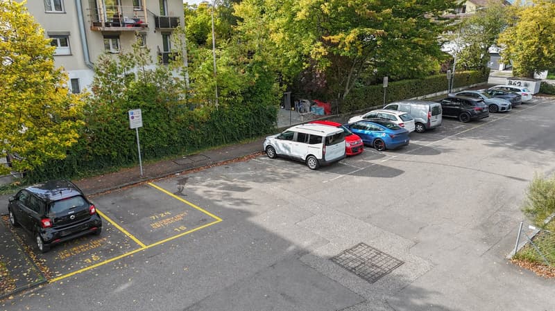 Parking area with cars parked, yellow parking lines, and trees on the sides.