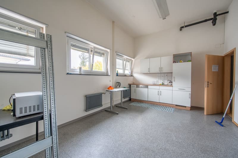 A kitchen area with gray floor, white kitchen cabinets, and a sink. It has a small table with fruits, a microwave, a kettle, and a radiator. There is a rug in front of the counter, and a dishwasher is in the corner. The room has windows and a door leading