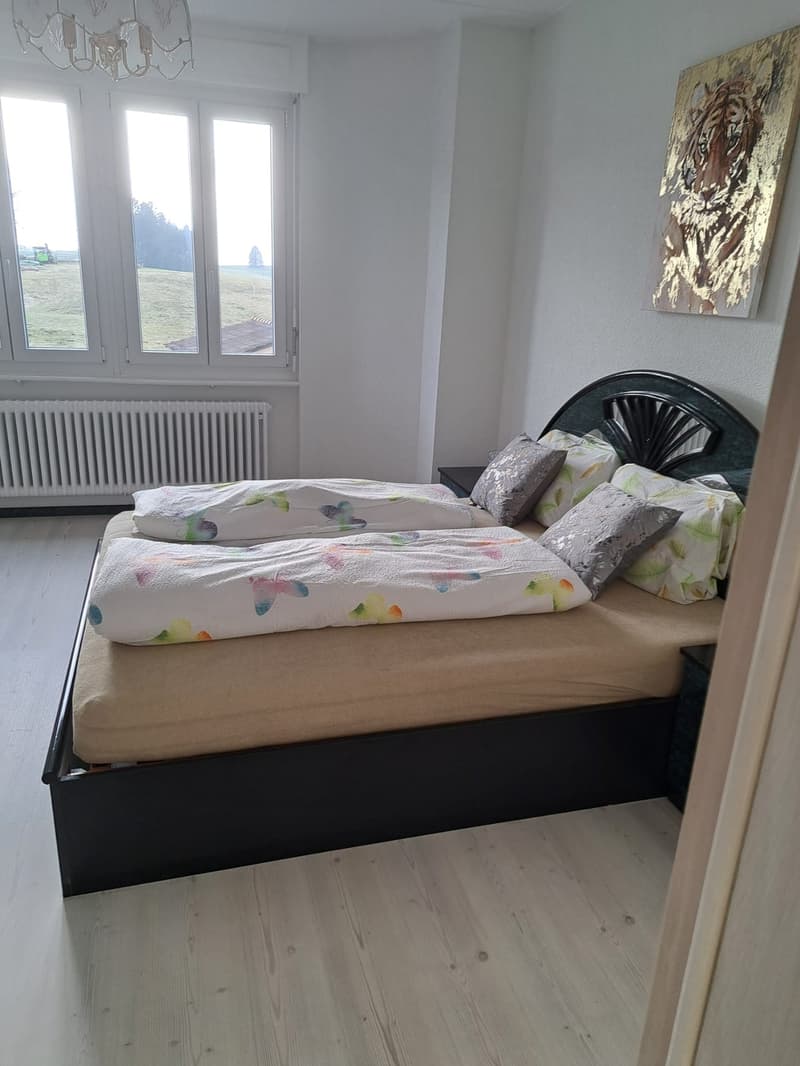 A vendre: Maison avec magasin et deux appartements (9)