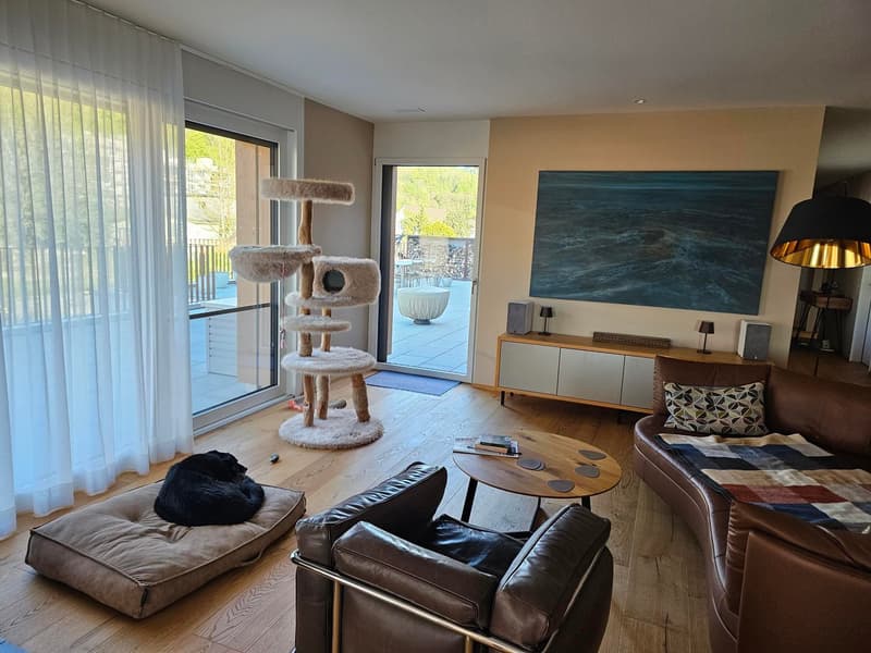 4.5 Attika Wohnung mit Traumaussicht (4)