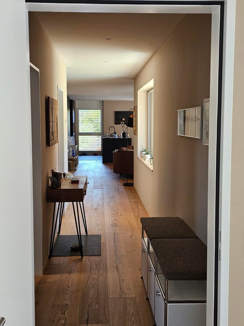 4.5 Attika Wohnung mit Traumaussicht (8)