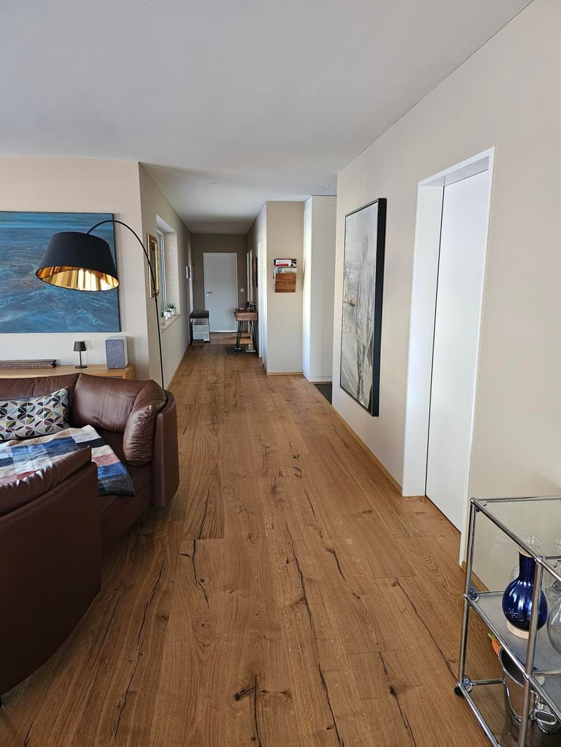 4.5 Attika Wohnung mit Traumaussicht (2)