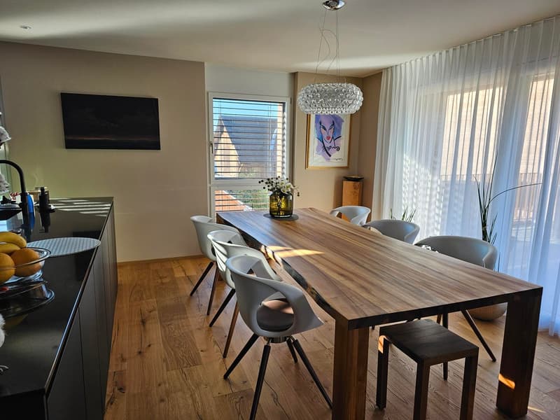 4.5 Attika Wohnung mit Traumaussicht (3)