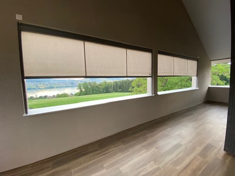3.5-Zimmer-Wohnung mit traumhafter Aussicht optional mit Werkstatt (8)