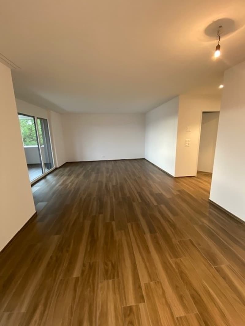 3.5-Zimmer-Wohnung mit traumhafter Aussicht optional mit Werkstatt (2)
