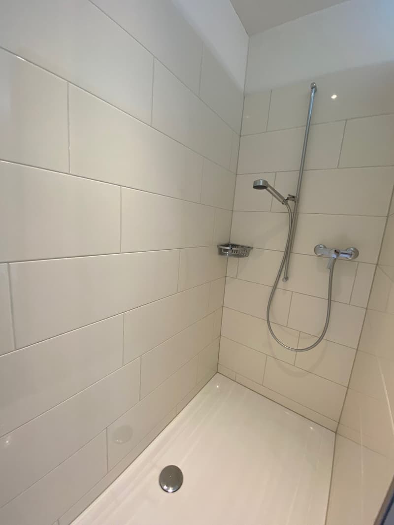 Neu nach Vereinbarung Gartenwohnung 4.5 Zimmer EG mit Gartensitzplatz und Rasen (12)