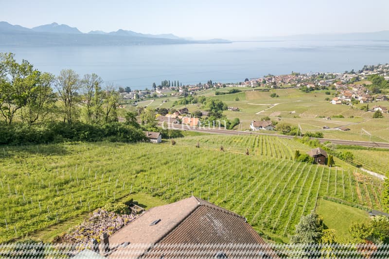 Maison vigneronne de charme Au coeur des vignes Vue sur le Léman (2)