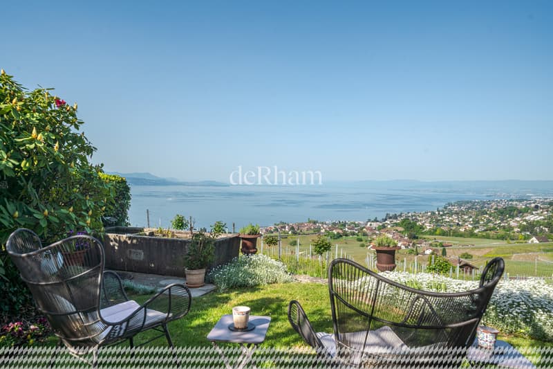 Maison vigneronne de charme Au coeur des vignes Vue sur le Léman (9)