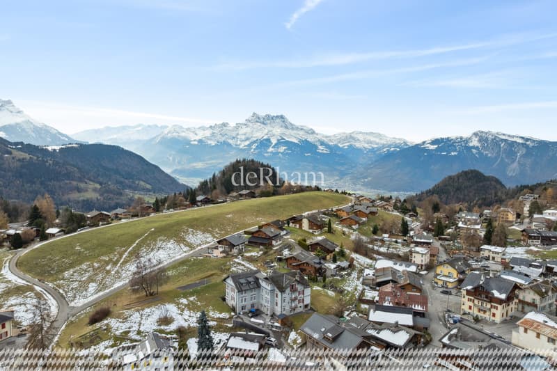 Le Château à Leysin (2)