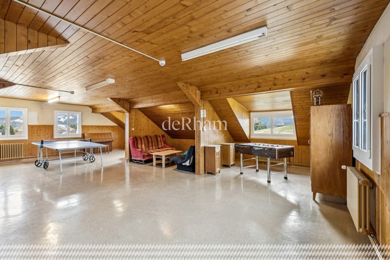 Le Château à Leysin (9)