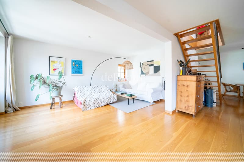Maison villageoise distribuée en duplex (5)