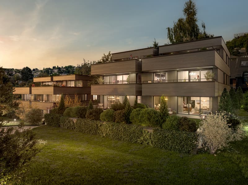 Duplex en attique (7)