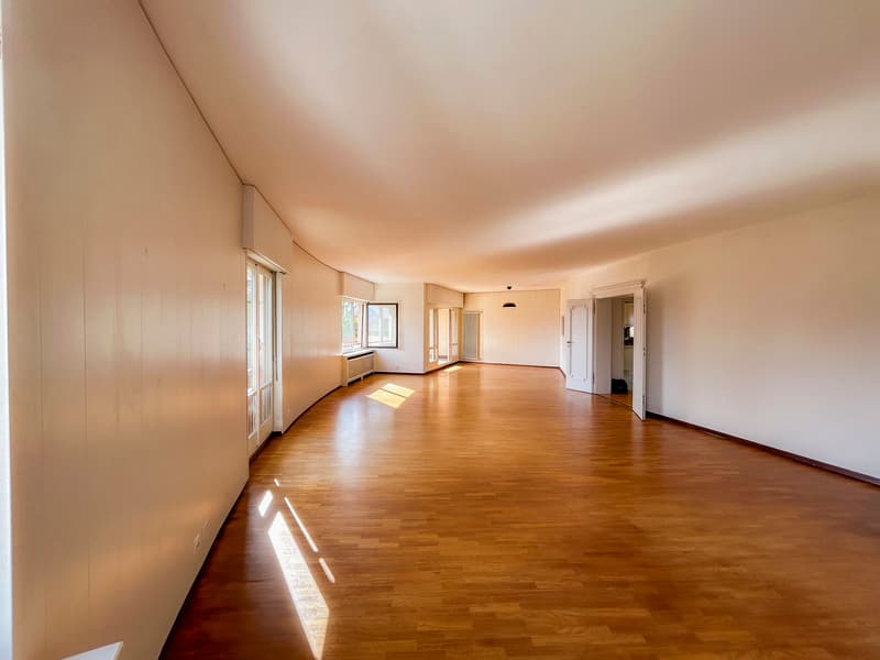 Attique de 163 m²  Vue lac et montagnes (8)