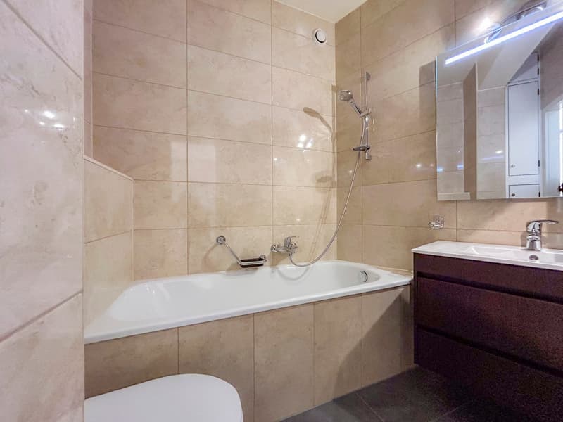 Attique de 163 m²  Vue lac et montagnes (10)