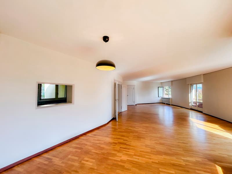 Attique de 163 m²  Vue lac et montagnes (6)