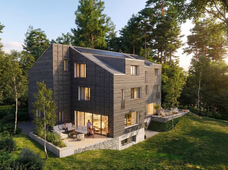 Magnifique villa de 253 m²  avec jardin (6)