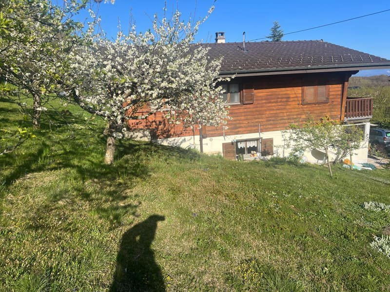 Maison avec vue panoramique  Fort potentiel d'agrandissement (3)