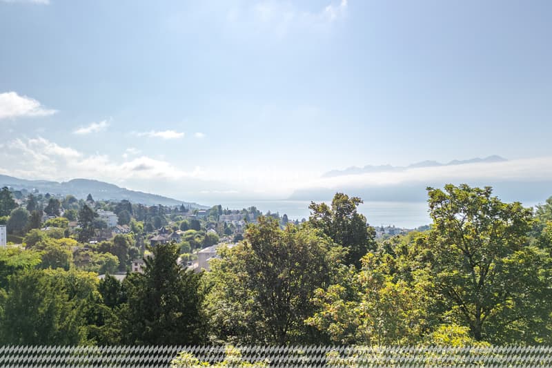 Appartement de 2.5 pièces Vue sur le lac et les Alpes (1)