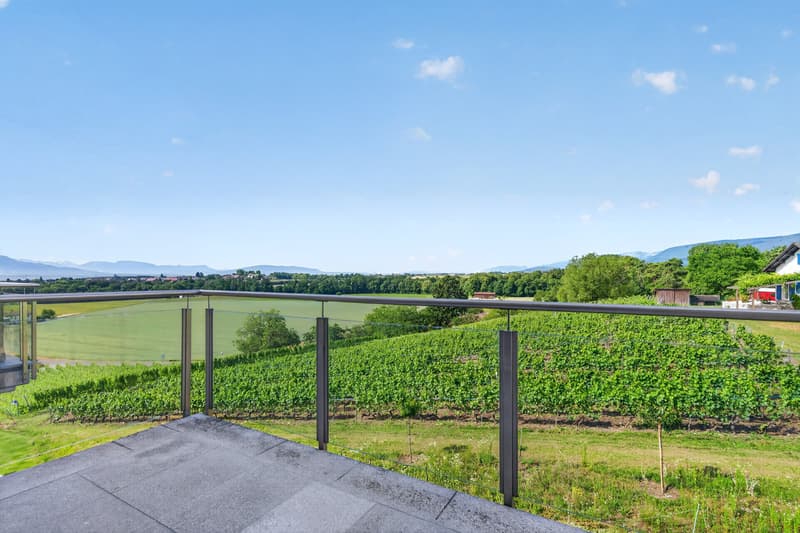 Spacieux duplex de 4,5 pièces Au coeur des vignes, vue Lac et Alpes (6)
