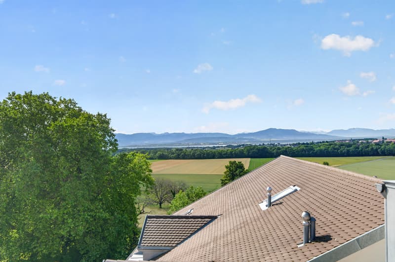 Spacieux duplex de 4,5 pièces Au coeur des vignes, vue Lac et Alpes (12)