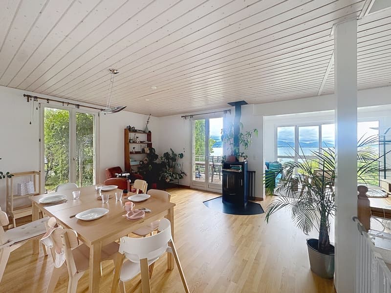 Villa mitoyenne  de 6.5 pièces  Studio indépendant (3)