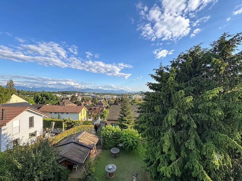 Duplex de 5,5 pièces à rénover (1)