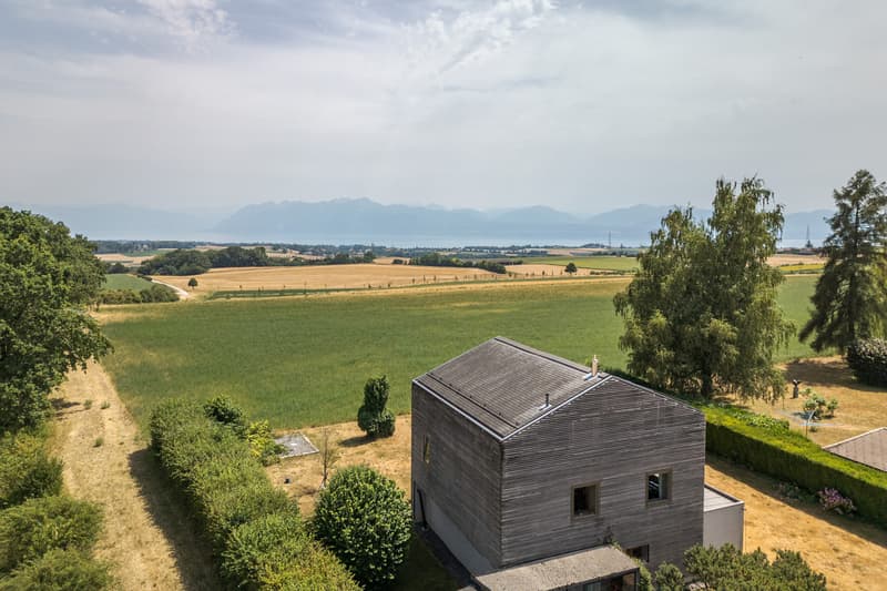 Spacieuse maison individuelle Magnifique vue Alpes et lac (2)