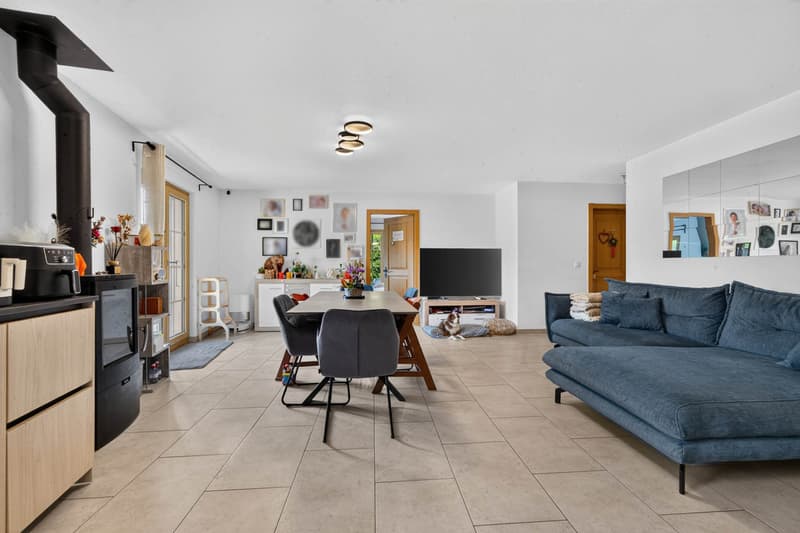 Appartement contemporain avec un grand jardin (7)