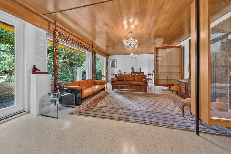 Charmante villa individuelle à rénover avec jardin (3)