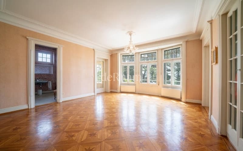 Prestigieuse maison de Maître de 9.5 pièces (6)