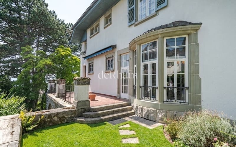Prestigieuse maison de Maître de 9.5 pièces (7)