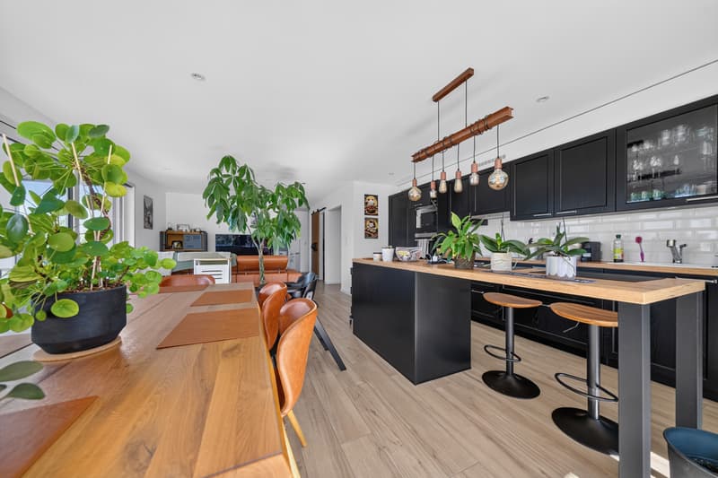 Bel appartement de 4.5 pièces Deux terrasses et jardin (2)