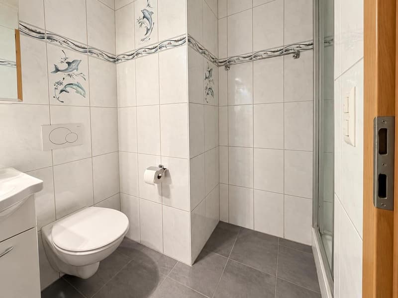 Spacieux appartement de 3,5 pièces Grand balcon-terrasse (6)