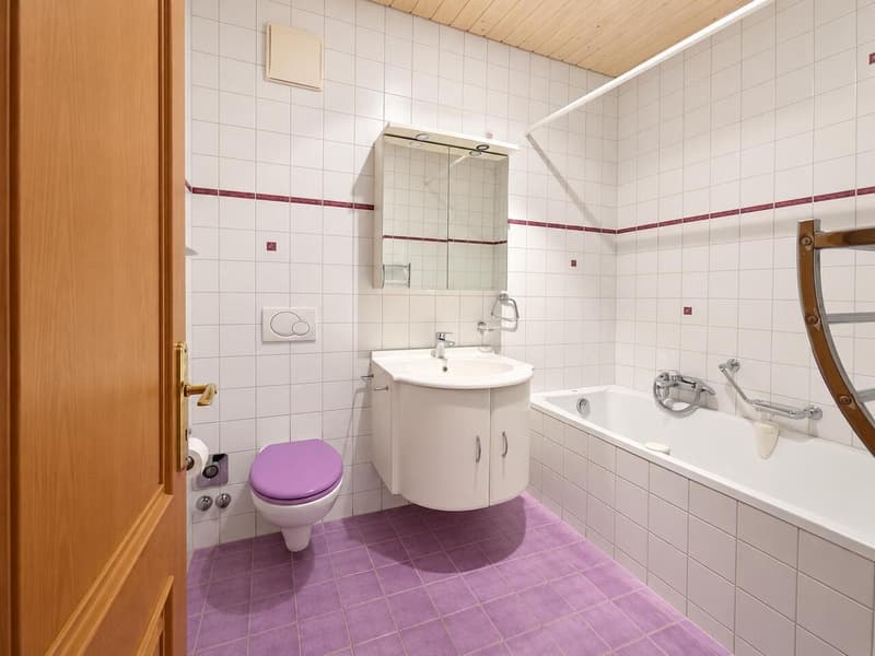 Spacieux appartement de 3,5 pièces Grand balcon-terrasse (9)