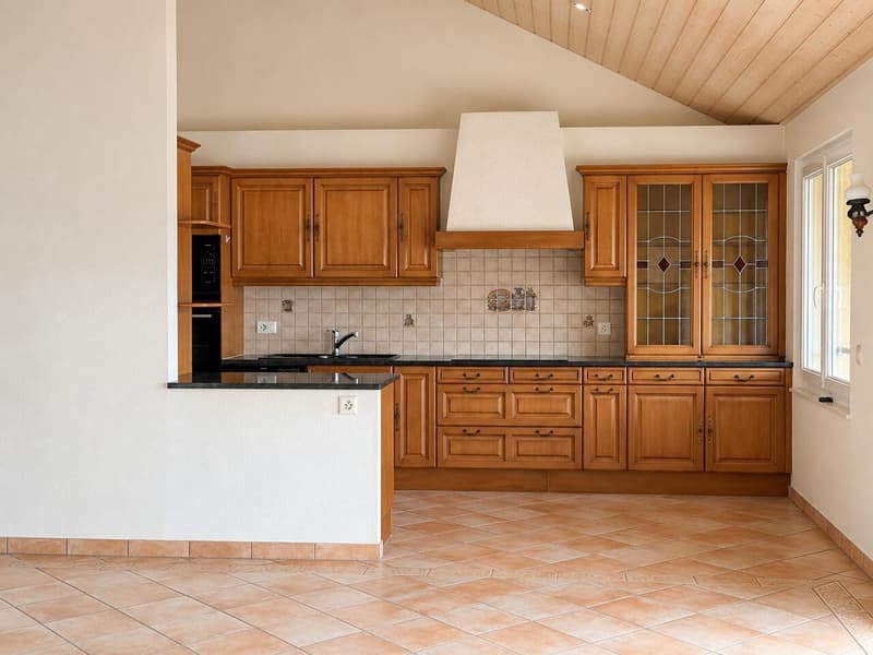 Spacieux appartement de 3,5 pièces Grand balcon-terrasse (4)