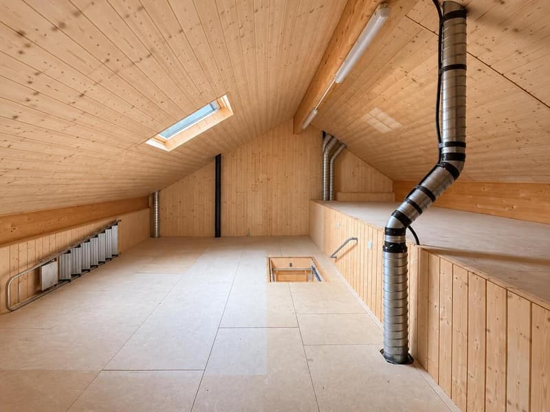 Spacieux appartement de 3,5 pièces Grand balcon-terrasse (11)