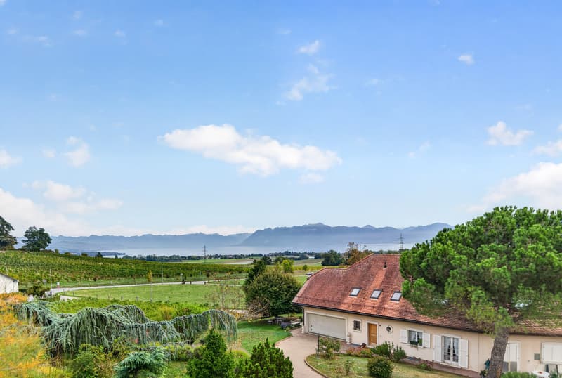 Maison jumelle au calme avec belle vue sur le lac (13)