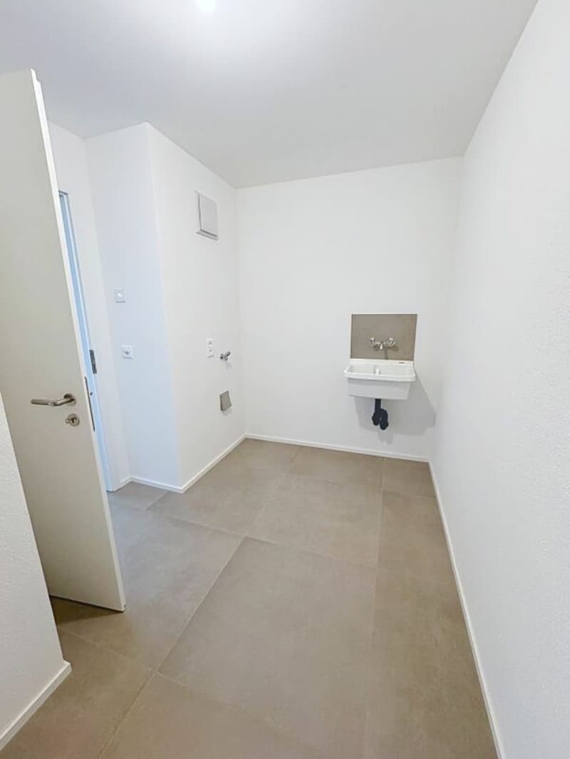 Spacieux et lumineux duplex avec terrasse et jardin privatif (8)