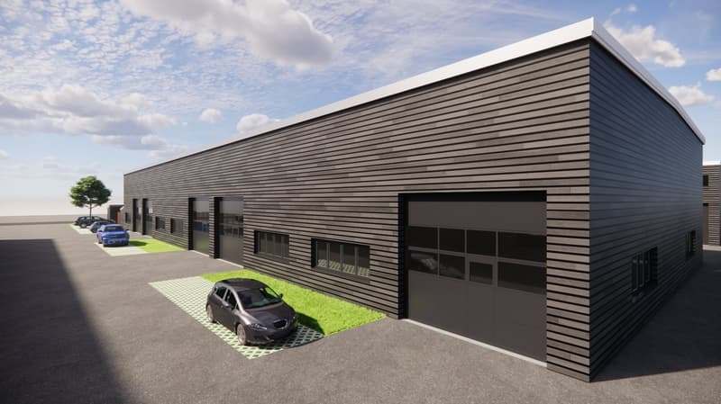 Moderne Gewerbehalle in Studen zu vermieten! (2)