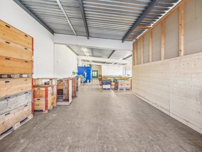 Geräumige Lagerhalle in Knutwil zu vermieten (3)
