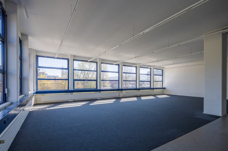 spacious room, large windows, blue carpet, ceiling lamps